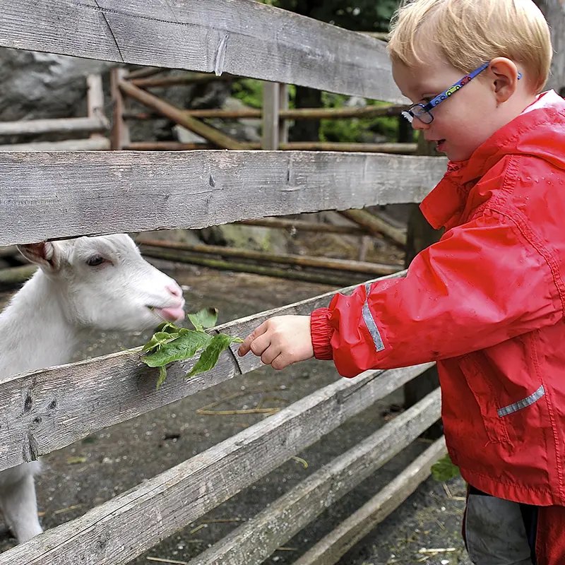Bio-Ferienhof Pirkers - Toddler-friendly hotel exterior and facilities